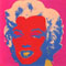 andy-warhol-marilyn-monroe-portfolio