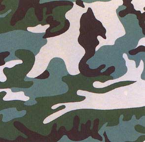 ANDY WARHOL Camouflage