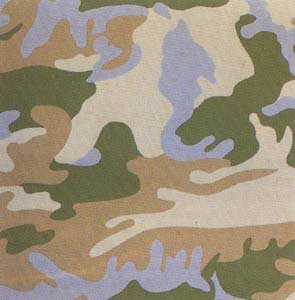 ANDY WARHOL Camouflage